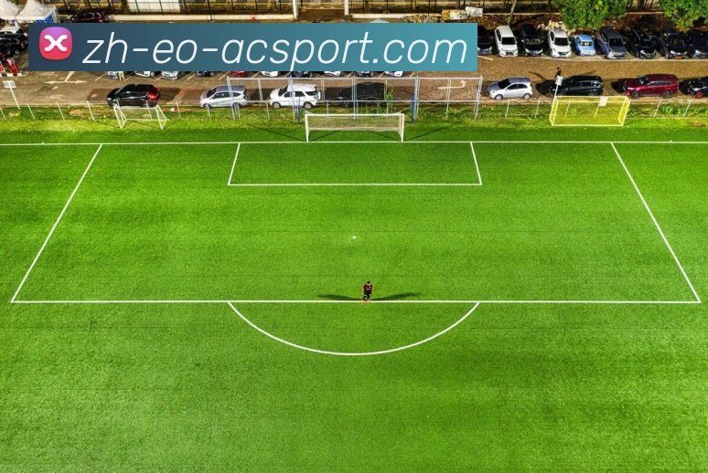 多媒体互动体验